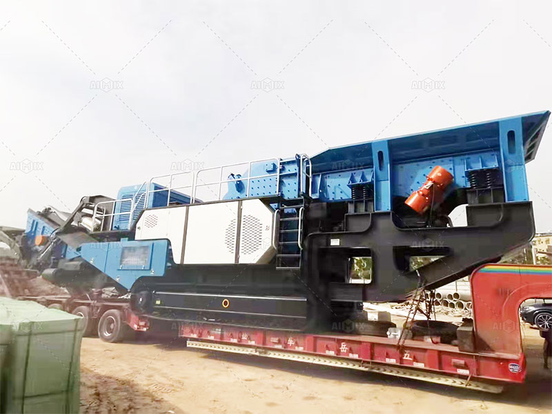 crusher plant project cost
